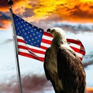 hbat military graphic