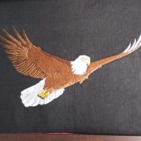 Eagle, Flying