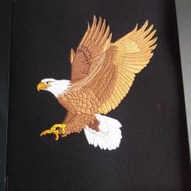 Eagle Landing Black Frame Eagle Landing Black Frame