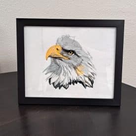 Eagle Head Portrait with frame Eagle Head Portrait with frame