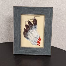 Feathers with Frame Feathers with Frame